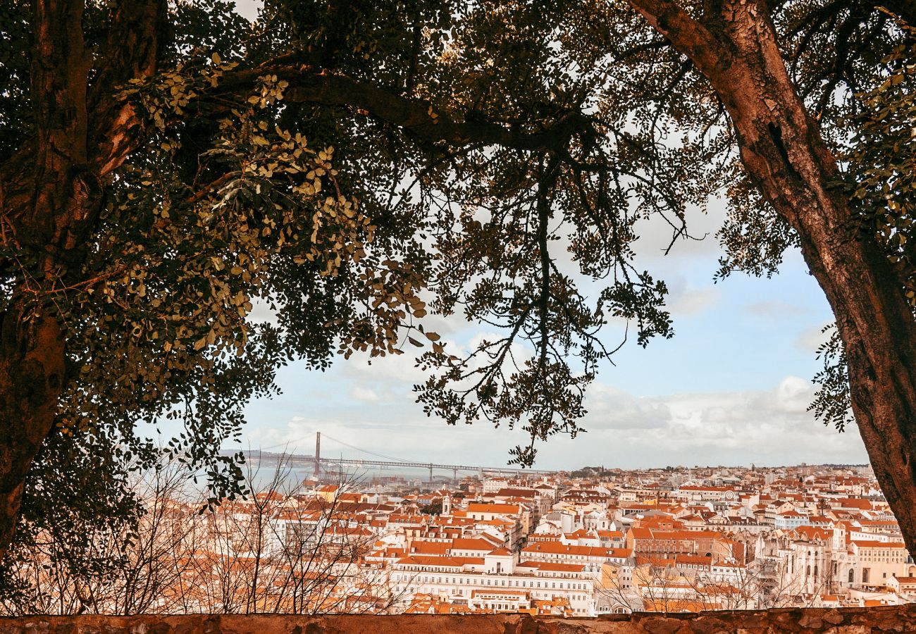 Apartamento em Lisboa - Kalathos House 1 with Terrace By Gt  House