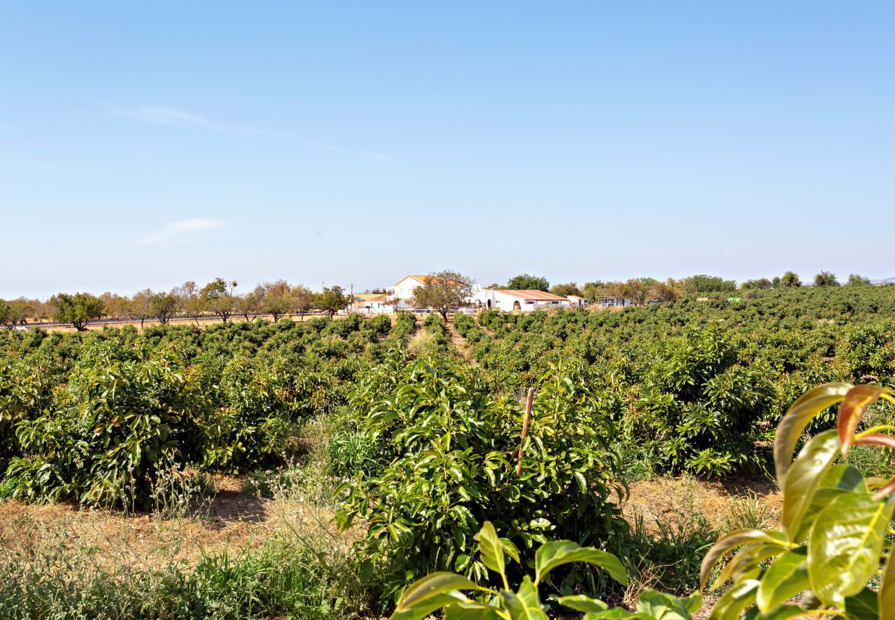 Ferienhaus in Cabanas de tavira - Ria Endless South  By Gt House